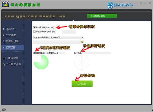 视频加密系统,技术原理与安全防护策略