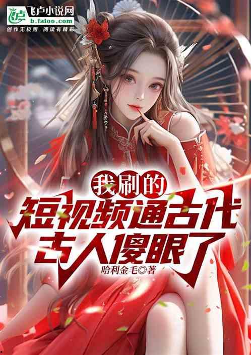 视频 小说,穿越时空的奇幻之旅