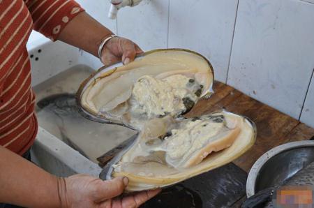 河蚌清洗视频,轻松掌握清洁技巧