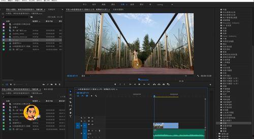 色系日本视频,色系视频中的视觉盛宴