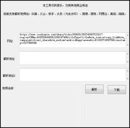 视频解析去水印网址