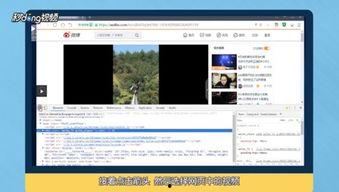 查找网页视频