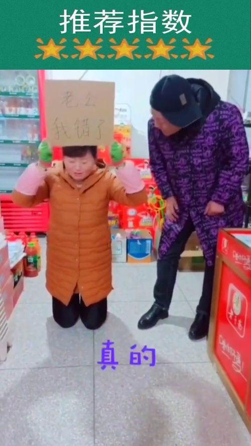 录制桌面视频,视频内容概览